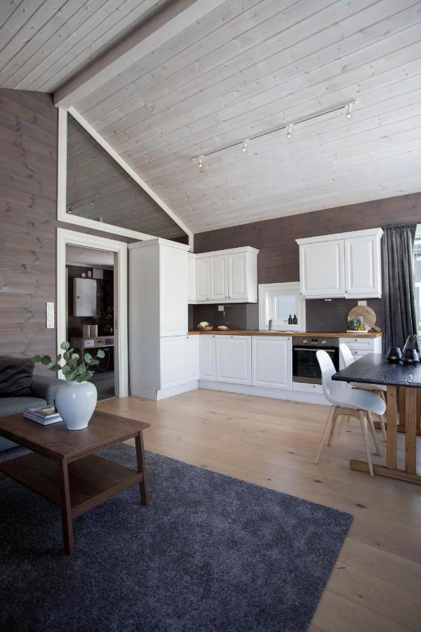 Central Mountain Penthouse Getaway, Strandafjellet Apartment สตรานดา ภายนอก รูปภาพ