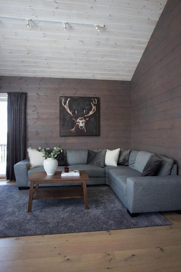 Central Mountain Penthouse Getaway, Strandafjellet Apartment สตรานดา ภายนอก รูปภาพ